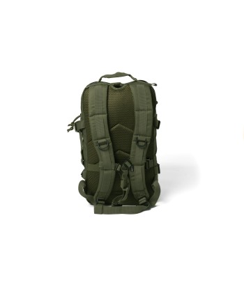 BG623-308 | BAROUDEUR 25L PR | DUSKY GREEN chez Cornerstreet bien 